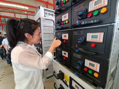 建设国家区域中心城市工作一线跟班学习干部赴长城电气调研