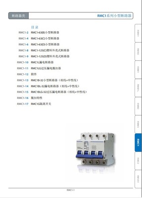 正品【上海上联】RMC1-63 D16A/2P系列小型断路器 优质供应与产品图片详解